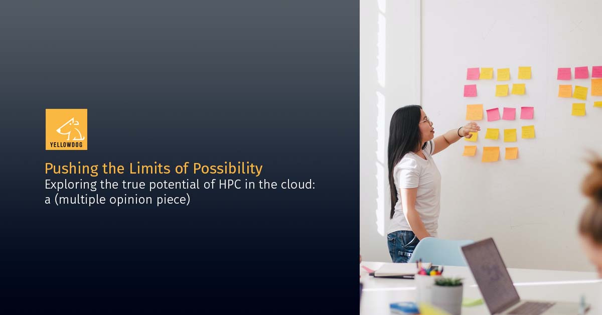 Pushing the Limits of Possibility – A Multiple Opinion Piece